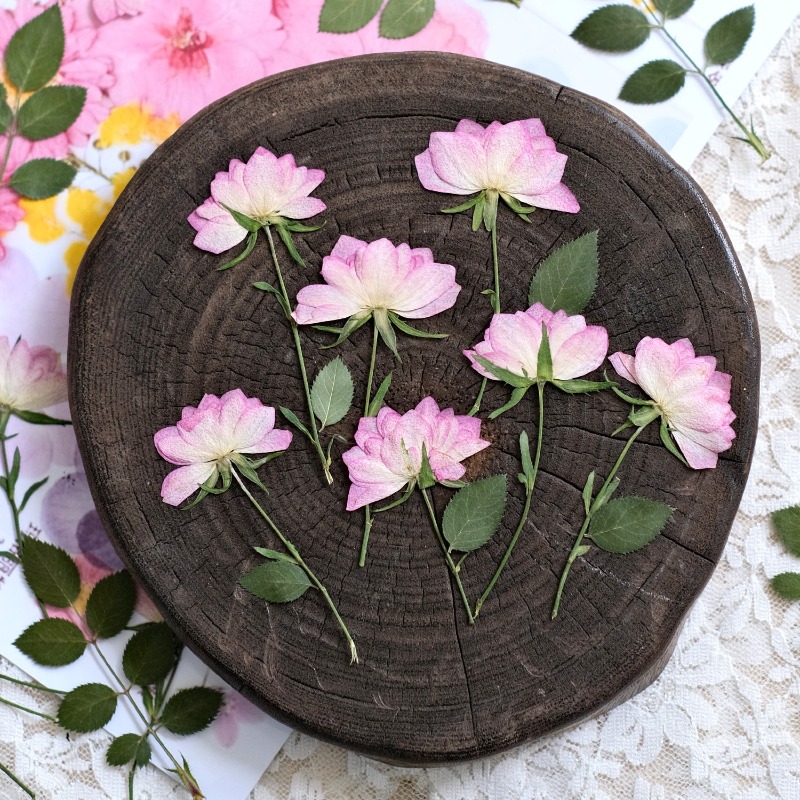12 peças, Flores Secas Reais P - Resin Art Phone Case avaliação e preço