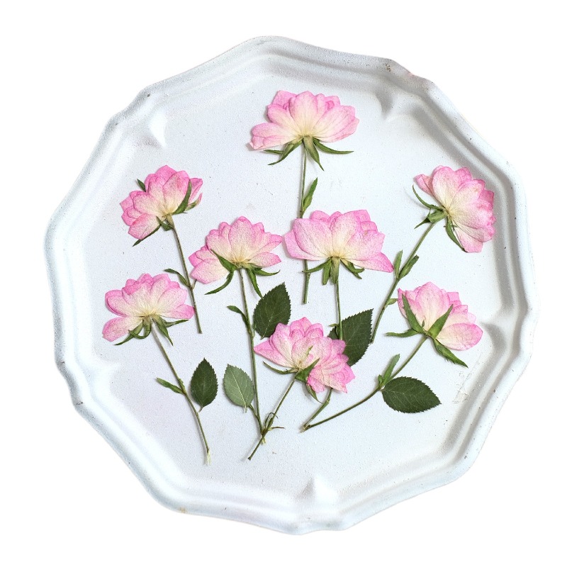 12 peças, Flores Secas Reais P - Resin Art Phone Case avaliação e preço